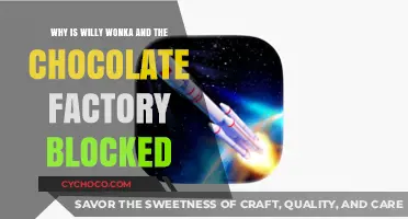 Unveiling the Reasons Behind the Willy Wonka Ban
