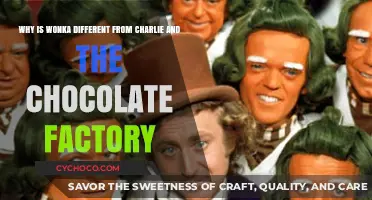 Wonka's Evolution: How the Film Adapts Roald Dahl's Classic
