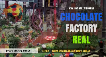 The Sweet Illusion: Why Willy Wonka's Chocolate Factory Isn't Real