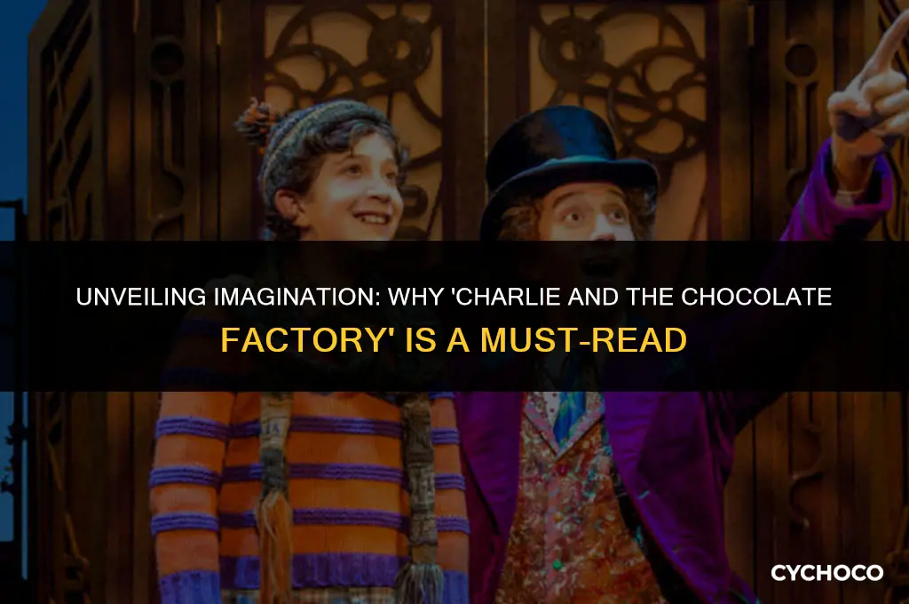 why should you read charlie and the chocolate factory