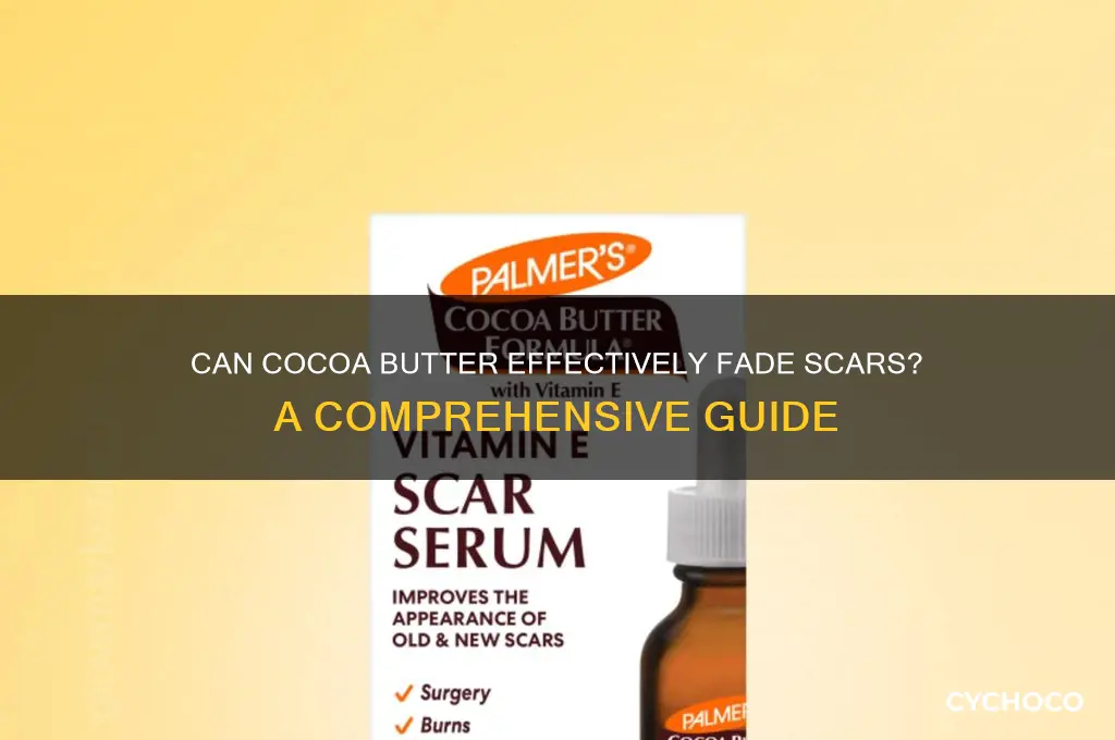 will cocoa butter fade scars
