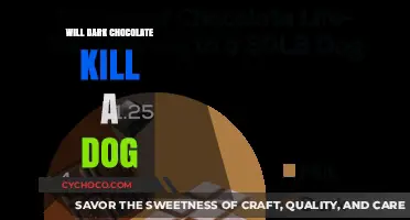 The Bitter Truth: Dark Chocolate's Deadly Danger to Dogs