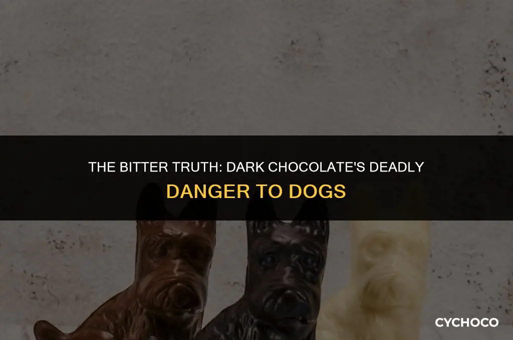 will dark chocolate kill a dog