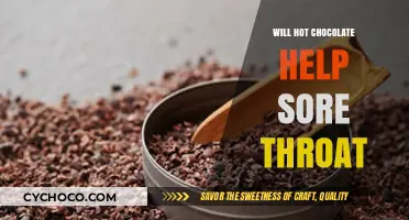 Hot Chocolate for Sore Throats: Soothing Relief or Myth?